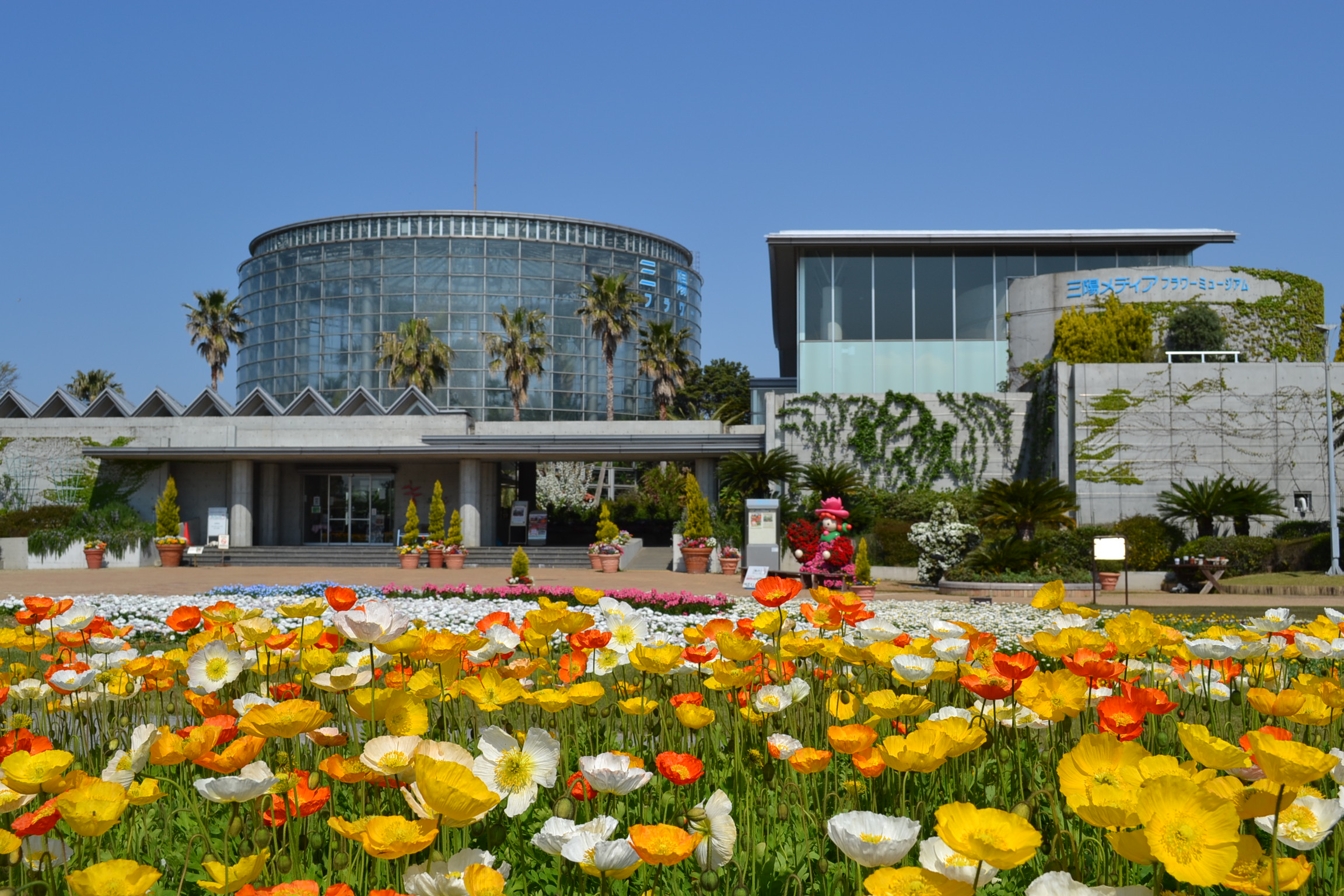 Sanyo MEDIA flower museum