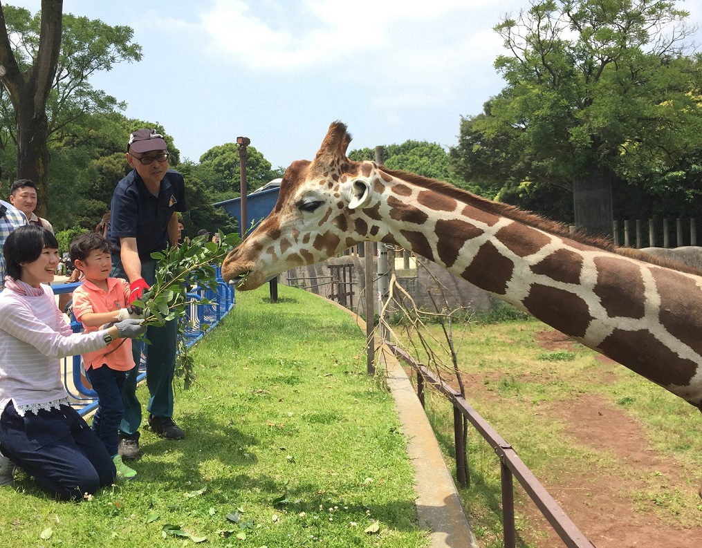 Chiba City Zoological Park