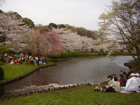 Hanashima park