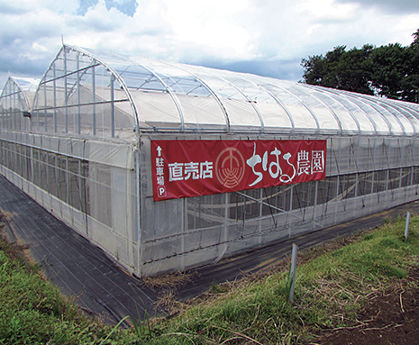Chiharu Farm